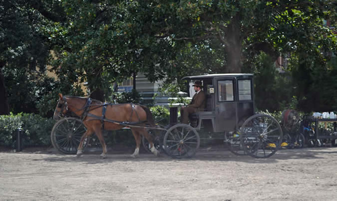 Move set in Savannah Ga. for Lady and the Tramp